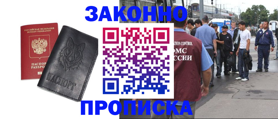 прописка поиск в Ельне